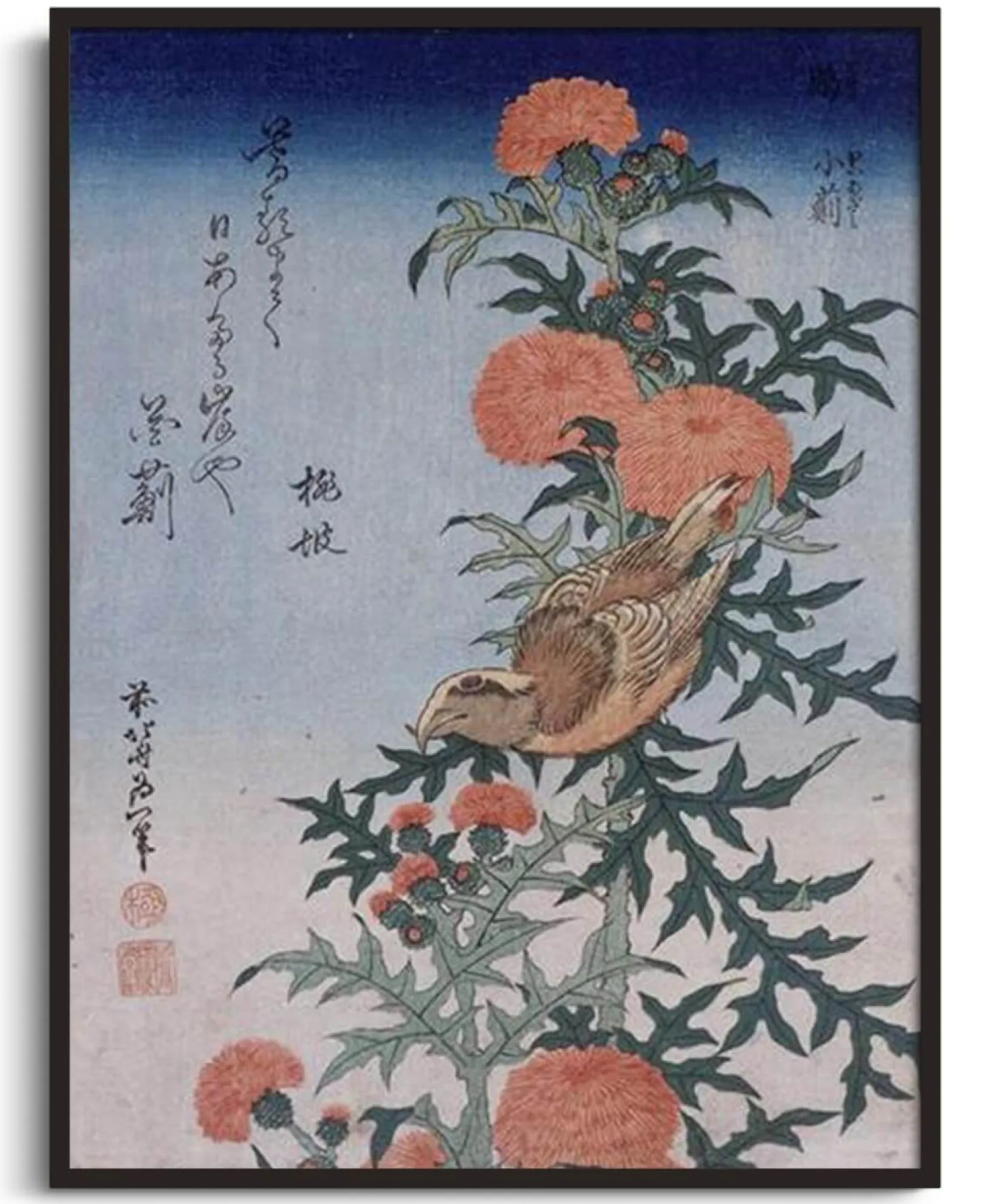 Galerie Mont Hokusai<Becherkreuz und Distel - Hokusai