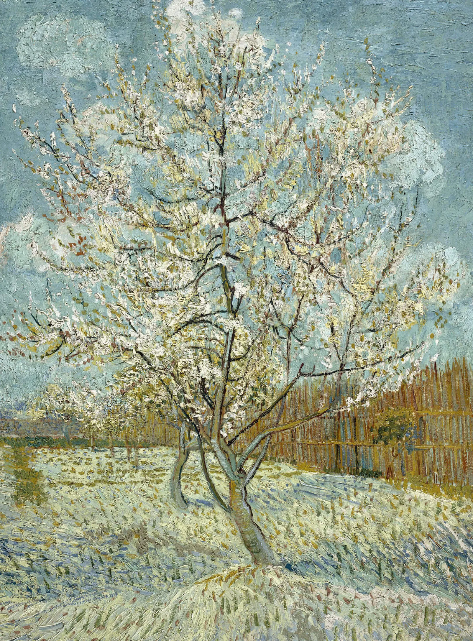 Galerie Mont Van Gogh<Blühender Pfirsichbaum - Vincent Van Gogh