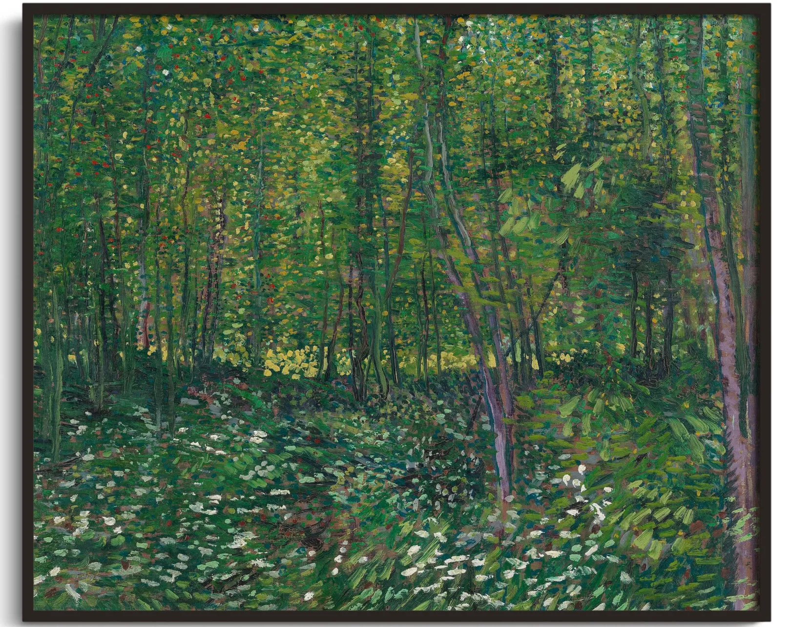 Galerie Mont Van Gogh<Bäume und Unterholz - Vincent Van Gogh