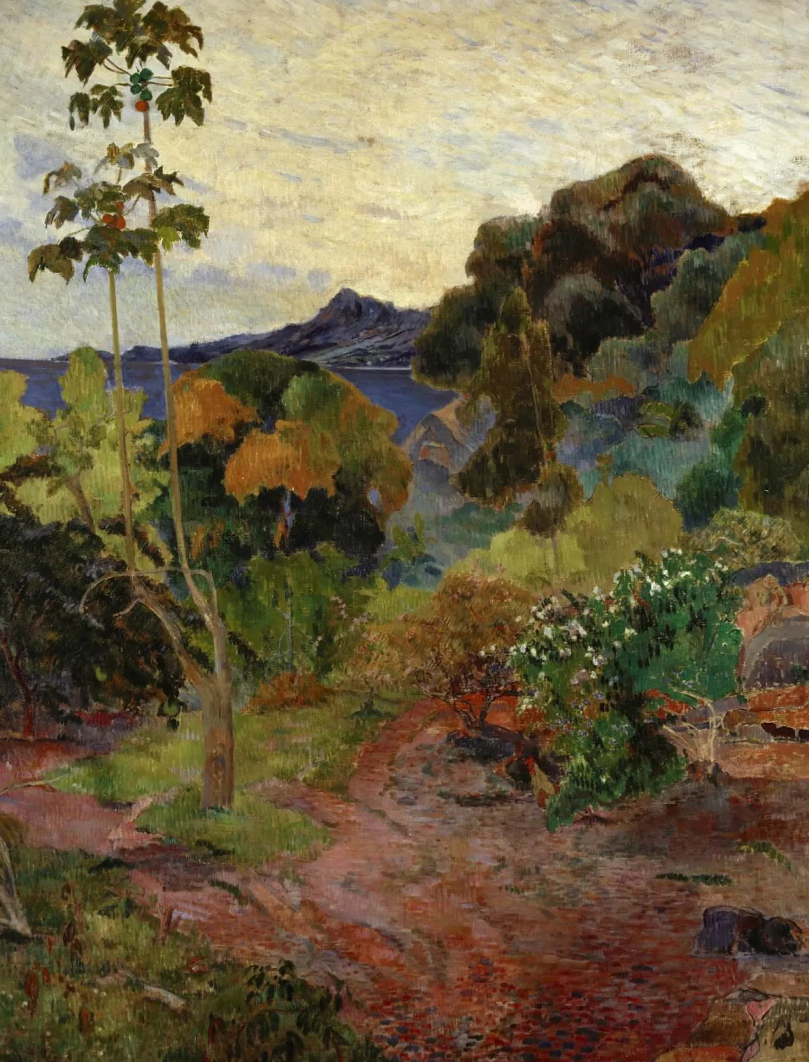 Galerie Mont Gauguin<Landschaft auf Martinique - Paul Gauguin