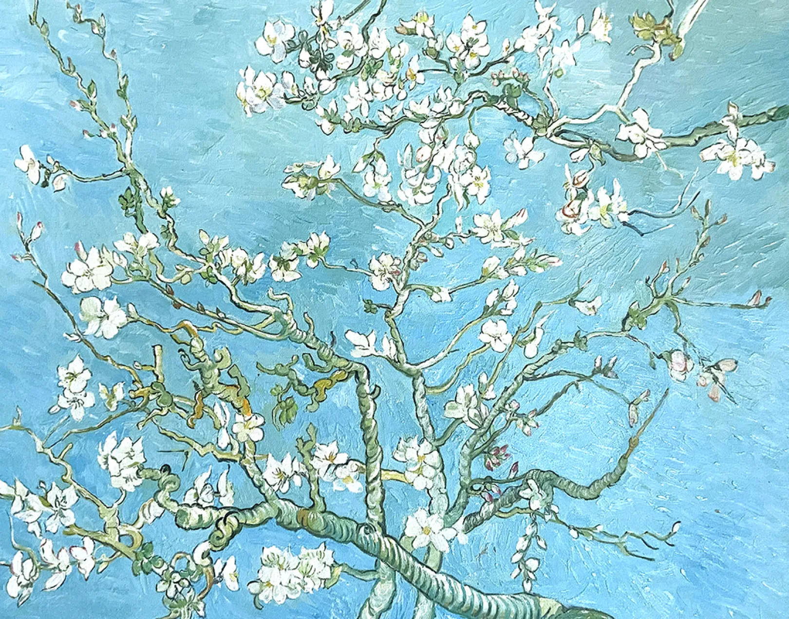 Galerie Mont Van Gogh<Mandelblüte - Vincent Van Gogh